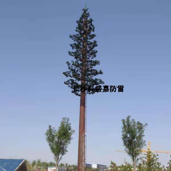 這是什么？看到圖先猜猜再進(jìn)來，猜對了的都是公雞中的戰(zhàn)斗機(jī)